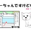 ちーちゃんですけど…