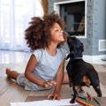 犬と「良い関係を築…