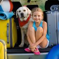 愛犬と旅行へいこう…