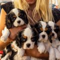 子犬時代を家の中で…