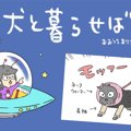 犬と暮らせば【第73…