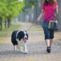 犬に絶対NGな『リー…