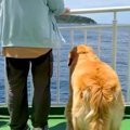 1年ぶりにお兄ちゃん…