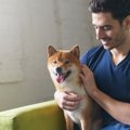今どんな気持ち？犬…