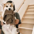 「タオルは絶対渡し…