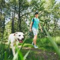 犬の飼い主は年間平…