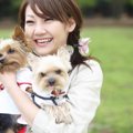 犬の信頼を失ってし…