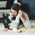 知ってた？犬の舐め…