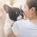 覚悟は出来てる？犬…