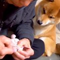 『壊れたおもちゃ』…