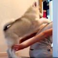階段が降りられない…