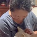 夜、17歳の老犬が不…