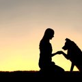 愛犬の最期…飼い主が…