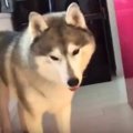 おもちゃが硬い！音…