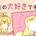 ただの犬好きです。…