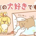 ただの犬好きです。…