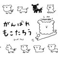 がんばれ　もこたろ…