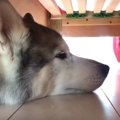 なぜそこなの？ベッ…