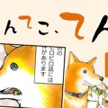 てんてこ、てん。【…