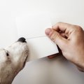 ペット名刺の作成に…
