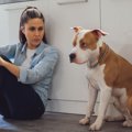 犬の態度でわかる『…