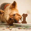 犬用クッキーは何が…