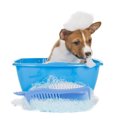 犬を洗う場所はどこ…