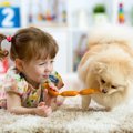 犬が人に対して友好…