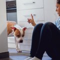 犬が嫌がる『言って…