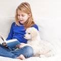 犬をテーマにしてる…