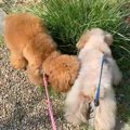 『突然パパがいなく…