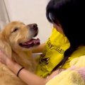 高校生になり忙しく…