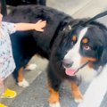 散歩中、男の子に出…