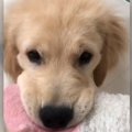 １ヵ月でほぼ『倍』…