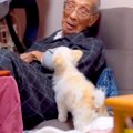 95歳のおじいちゃん…