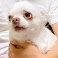 夜、『まだ寝たくな…