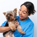 犬に大声を出すべき…