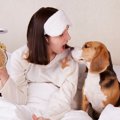 犬が早朝に『飼い主…