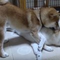 生配信中、ひたすら…