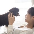 『嫉妬深い犬』がや…