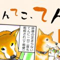 てんてこ、てん。【…