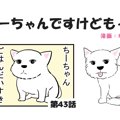 ちーちゃんですけど…