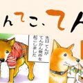 てんてこ、てん。【…