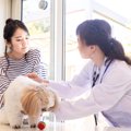 犬が『調子悪い』と…