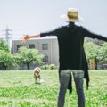 犬と公園に行ったと…