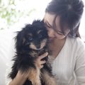 犬が『落ち着きのな…