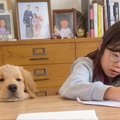 宿題をする女の子を…