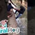 どぶ川を流される子…