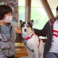 【幸せのお裾分け】…