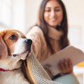 犬を飼った人にしか…